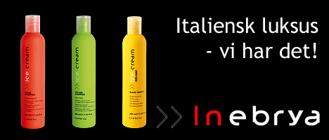 hairtools1-inebrya
