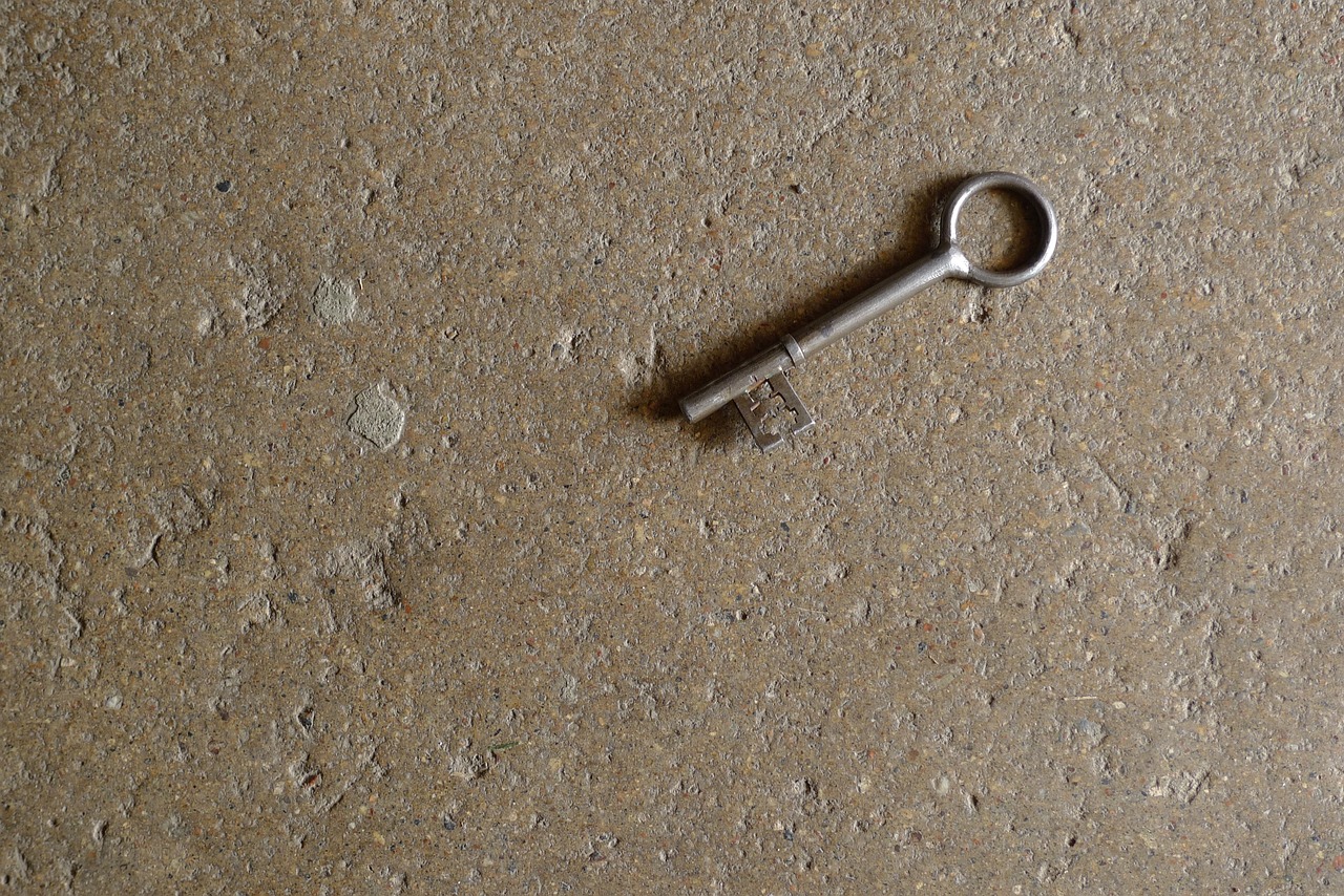 glemt nøgle
